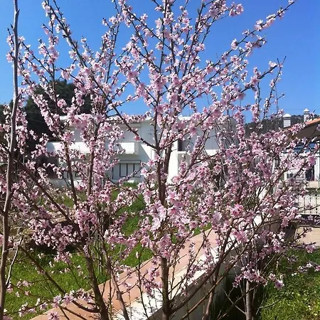 Camlik Villalari Villa Ayvalı